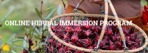 Chestnutherbs.com - ONLINE HERBAL IMMERSION PROGRAM