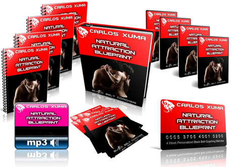 Black Belt program