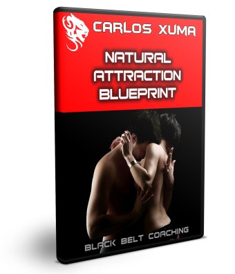Black Belt program