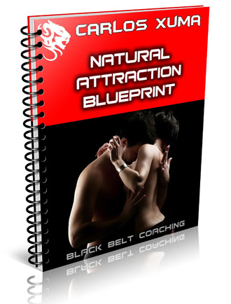 Black Belt program