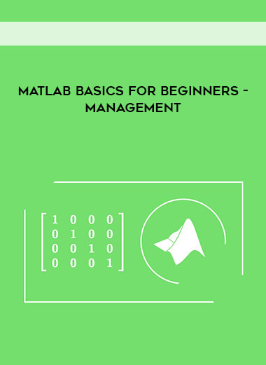 Matlab Basics for Beginners- Management