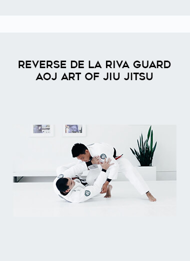 Reverse De La Riva Guard AOJ Art of Jiujitsu