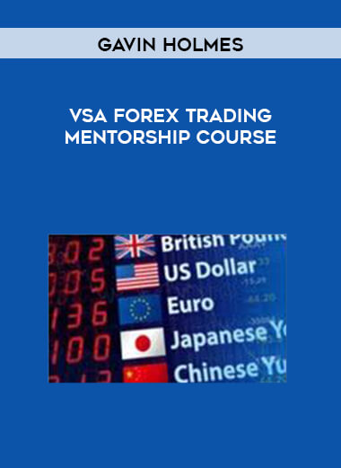 Gavin Holmes - VSA Forex Trading Mentorship Course