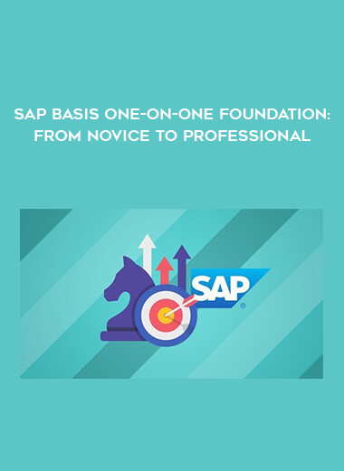 SAP Basis One-on-One Foundation: From Novice to Professional