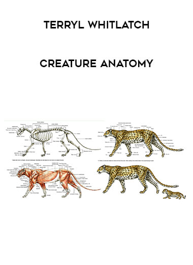 Terryl Whitlatch - Creature Anatomy