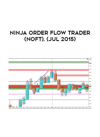 Ninja Order Flow Trader (NOFT)