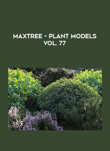 Maxtree - Plant Models Vol. 77 from https://illedu.info