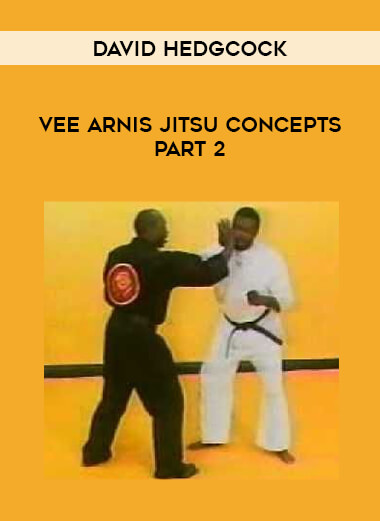 David James - Vee Arnis Jitsu Concepts Part 2 from https://illedu.info