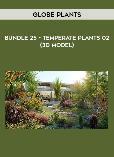 Globe Plants - Bundle 25 - Temperate Plants 02 (3D Model) from https://illedu.info